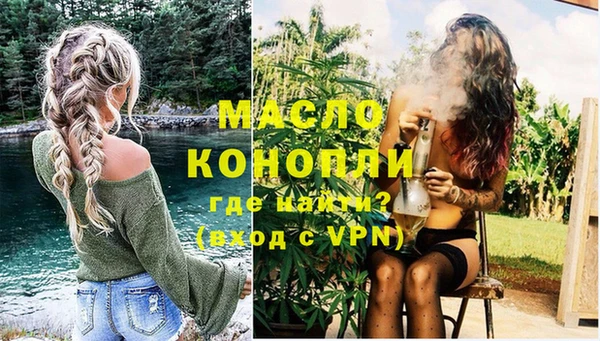 молекула духа Арсеньев