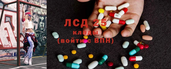 крисы Аркадак