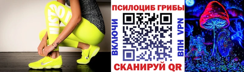 наркота  Дегтярск  Галлюциногенные грибы MAGIC MUSHROOMS 